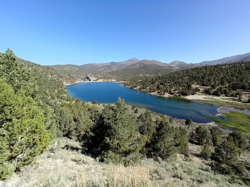 Hiking Trails That Feel Wild but Approachable