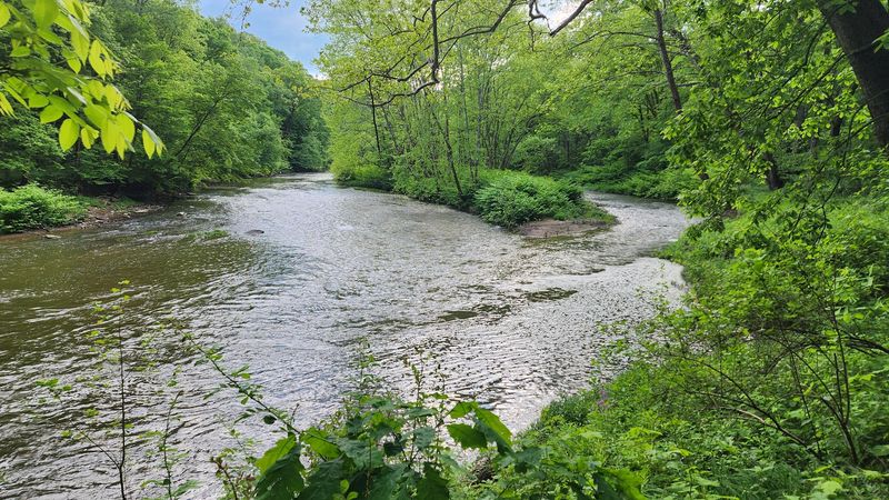 Hiking Trails That Follow Water, Woods, and Rugged Terrain