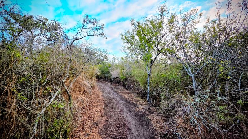 Hiking Trails Through Texas Landscape