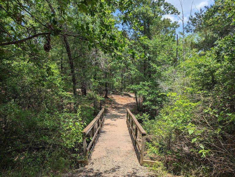 Hiking Trails With Shade and Scenery Hiking Trails With Shade and Scenery
