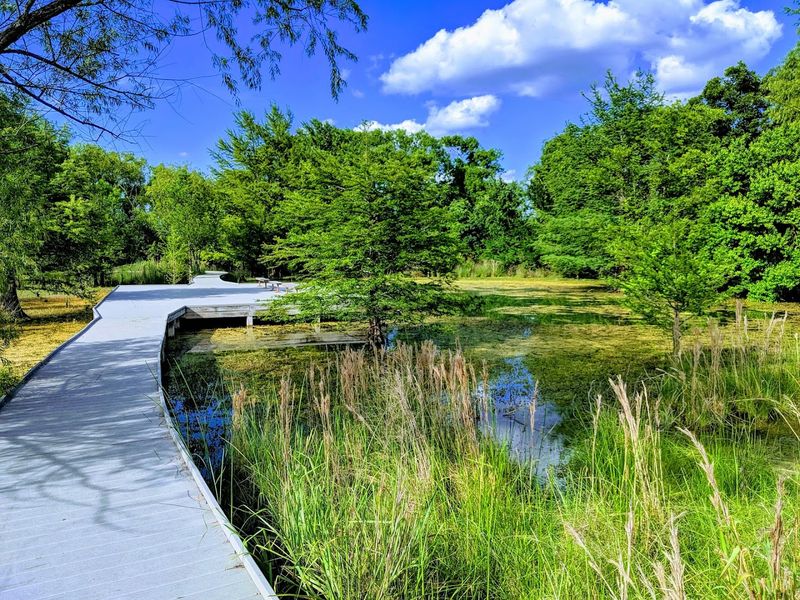 Hill Country Beauty Right Outside Your Door