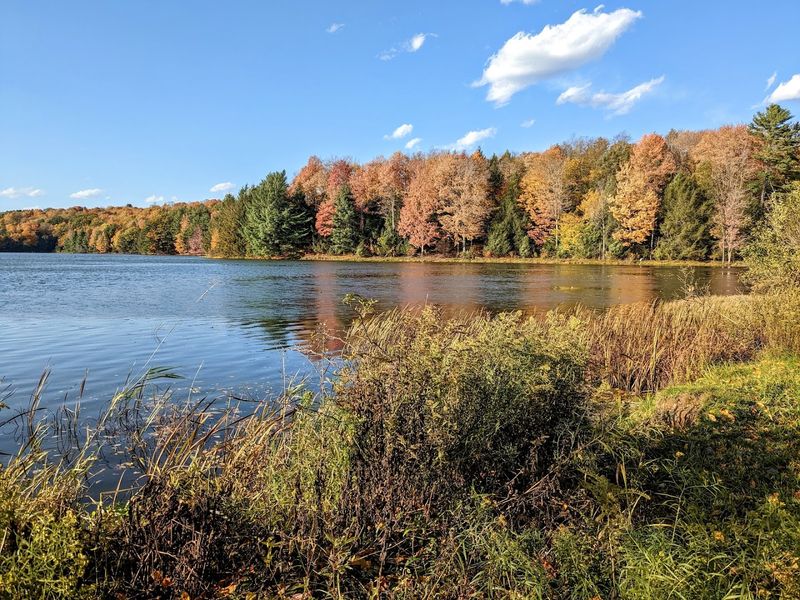 Hills Creek State Park Glamping (Timberline)
