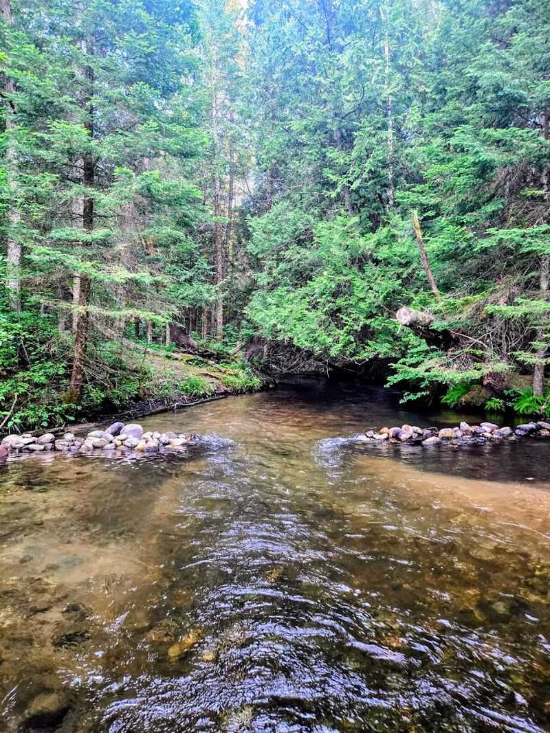 Hopkins Creek State Forest Campground