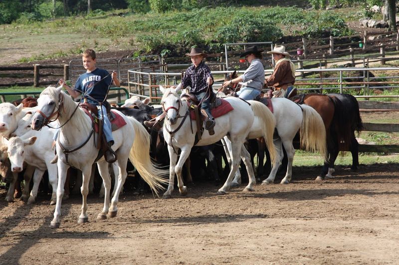 Horseback Riding Through Scenic Mountain Country