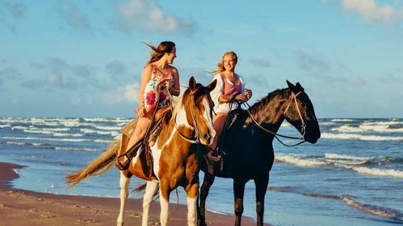 Horses On The Beach: Corpus Christi (Corpus Christi)
