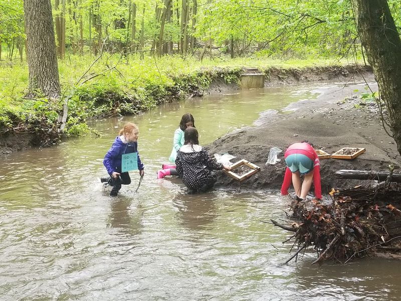 How A Quiet Middletown Creek Became A Fossil Hunting Spot