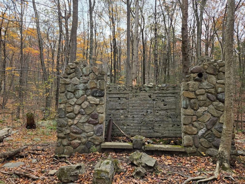 How Apshawa Preserve Turns a Forest Hike Into a Time Capsule