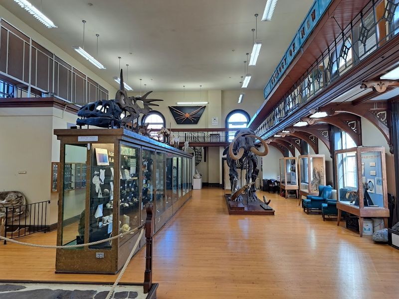 How Geology Hall became America’s oldest geology museum