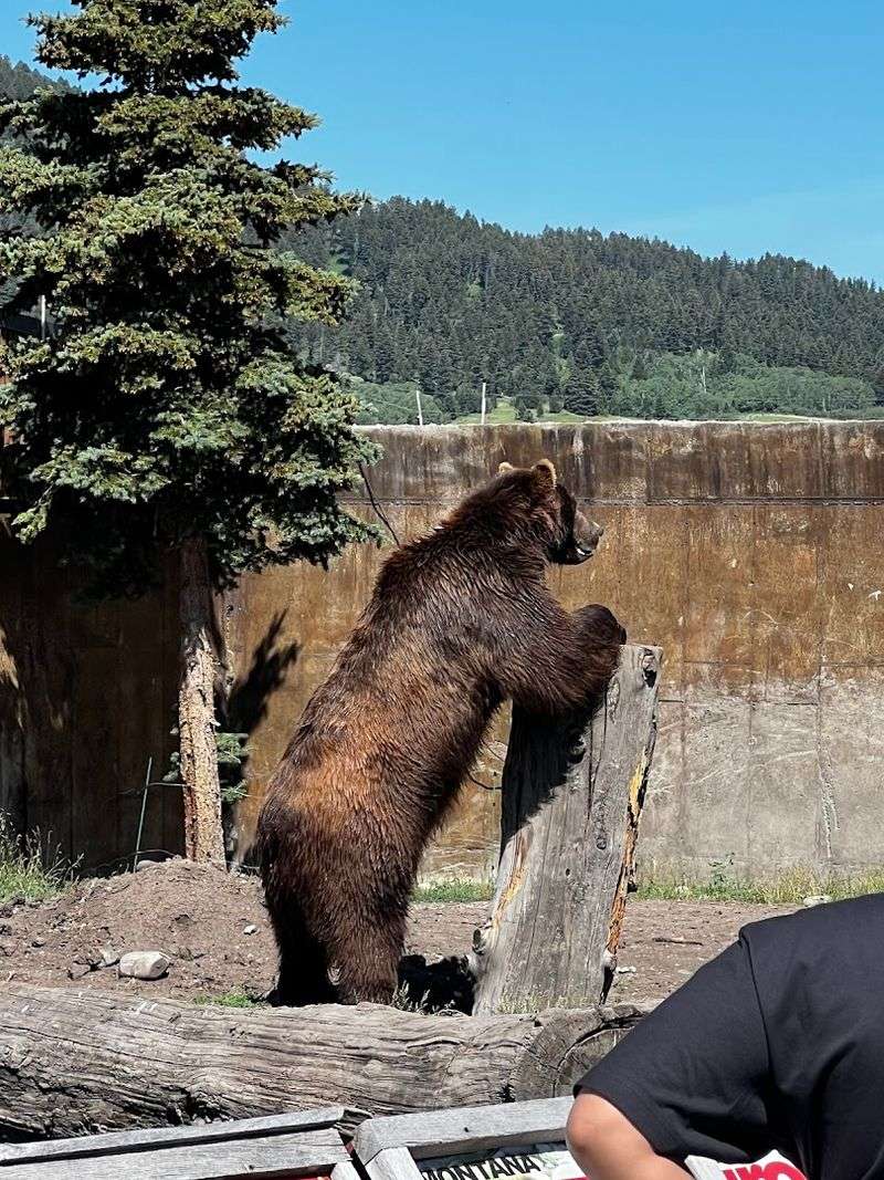 How close you can actually get