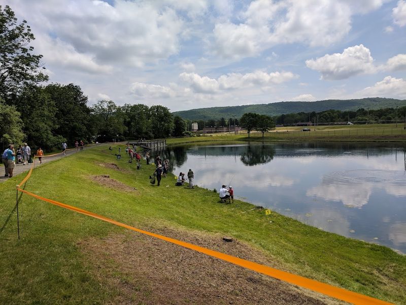 How hundreds of thousands of trout end up in New Jersey waters