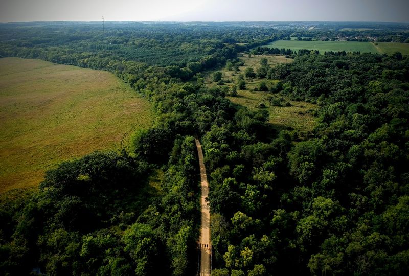 How railroads and asphalt buried one of America’s oldest bridges