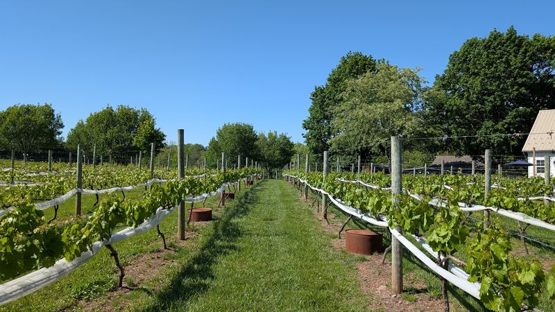 How to Plan Your Visit to Wind Hill Farms How to Plan Your Visit to Wind Hill Farms