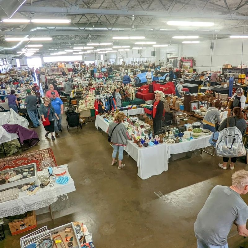 Hunt With Purpose: Finding Your Collectibles