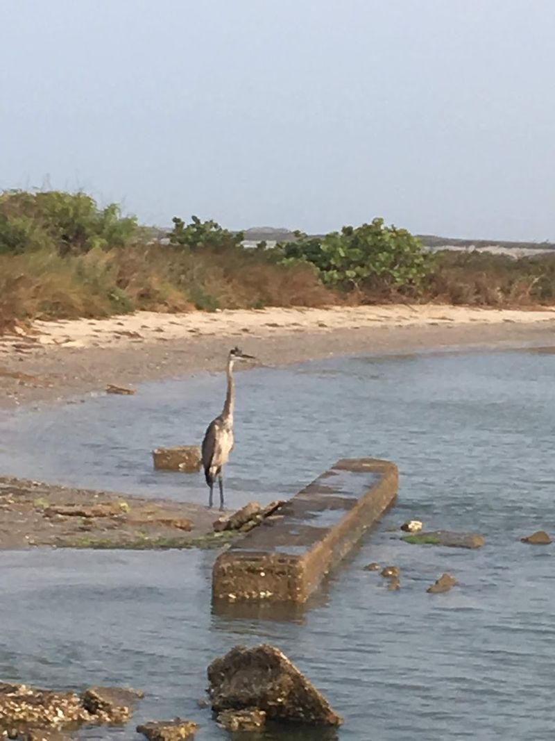 Incredible Bird Watching Opportunities Incredible Bird Watching Opportunities