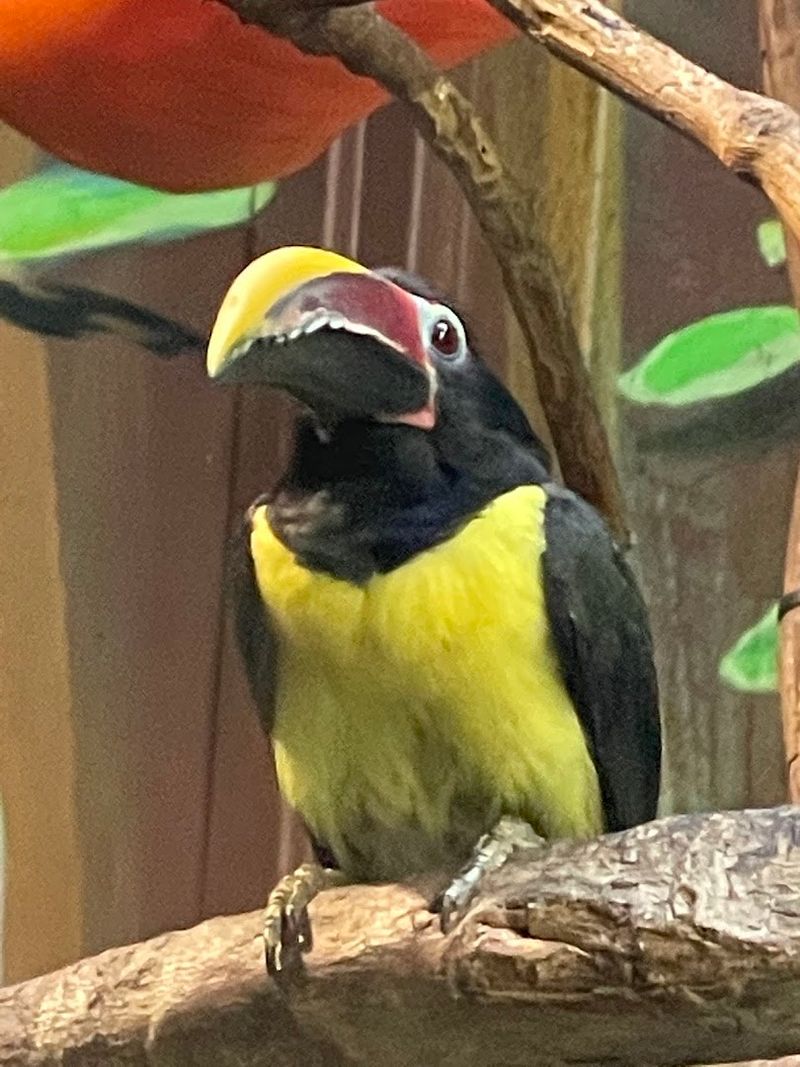 Indoor Exhibits Add Year-Round Appeal