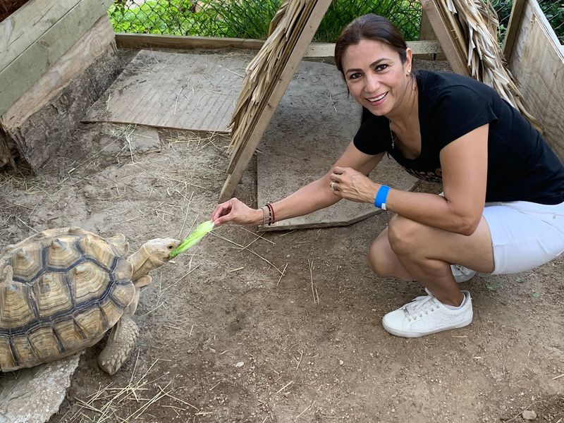Interactive Reptile Room With Hands-On Fun
