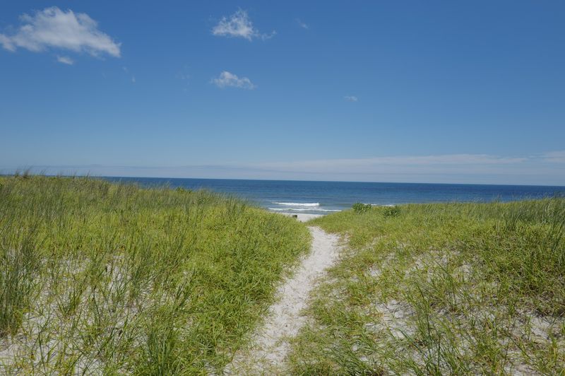 Island Beach State Park Island Beach State Park