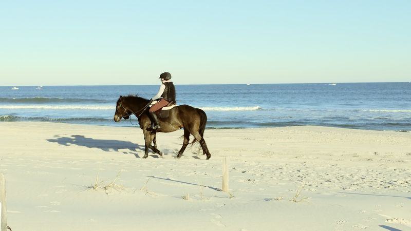 Island Beach State Park - Berkeley Township