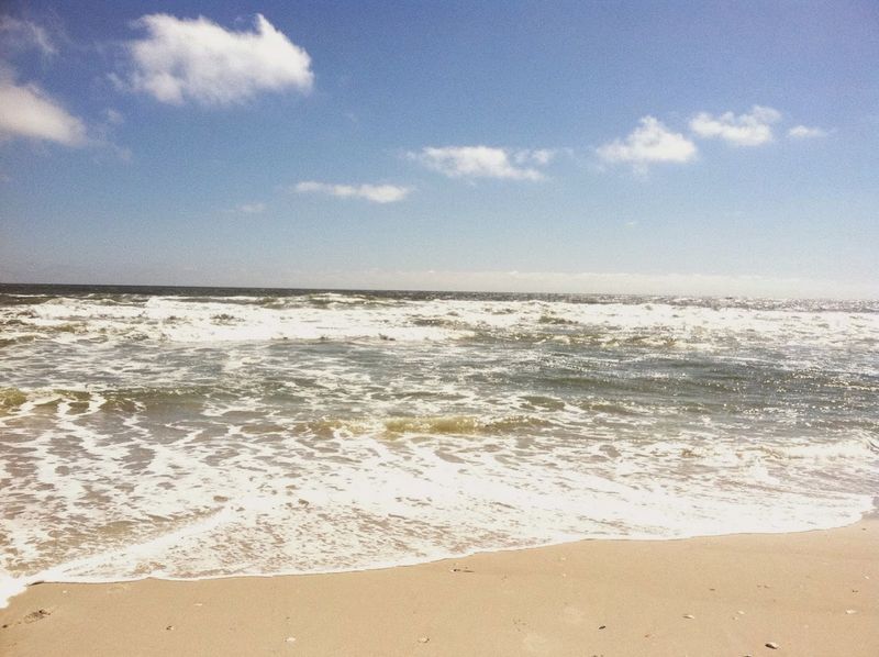 Island Beach State Park