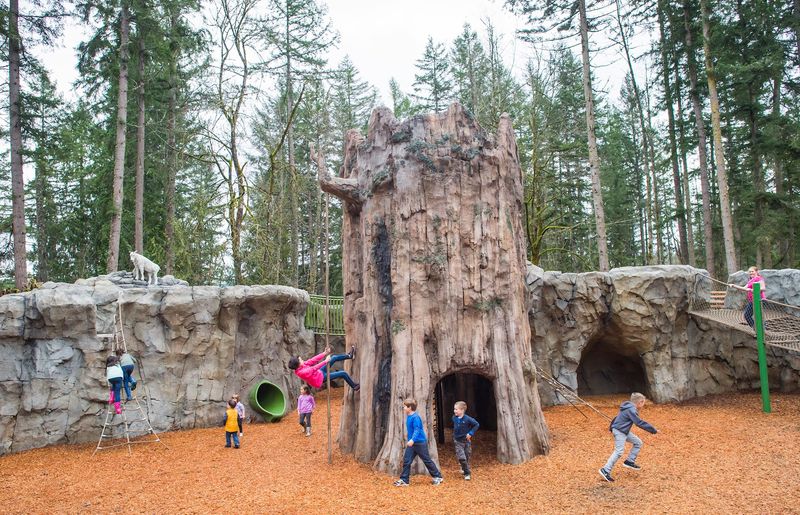 It is one of the best family wildlife outings near Tacoma and Seattle