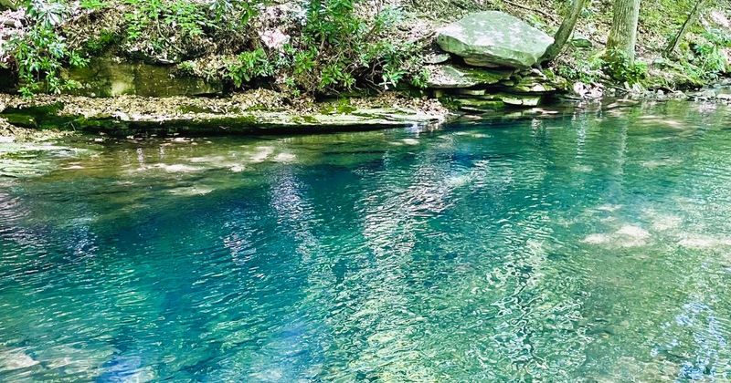 It offers more than just a quick dip It offers more than just a quick dip