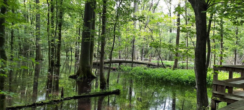 It's The Kind Of Place Where You Can Hear The Birds, The Wind, And Almost Nothing Else