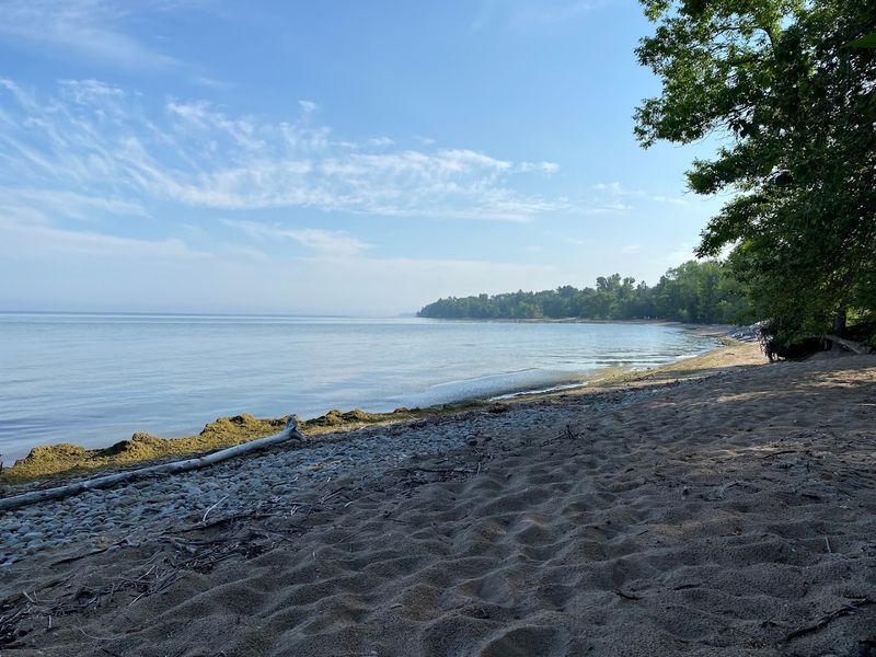 J.W. Wells State Park, Cedar River