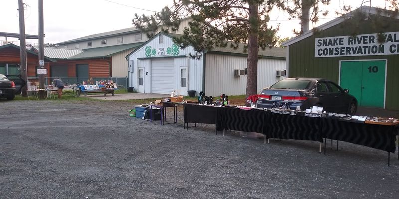 Pine City Flea Market (Pine City)