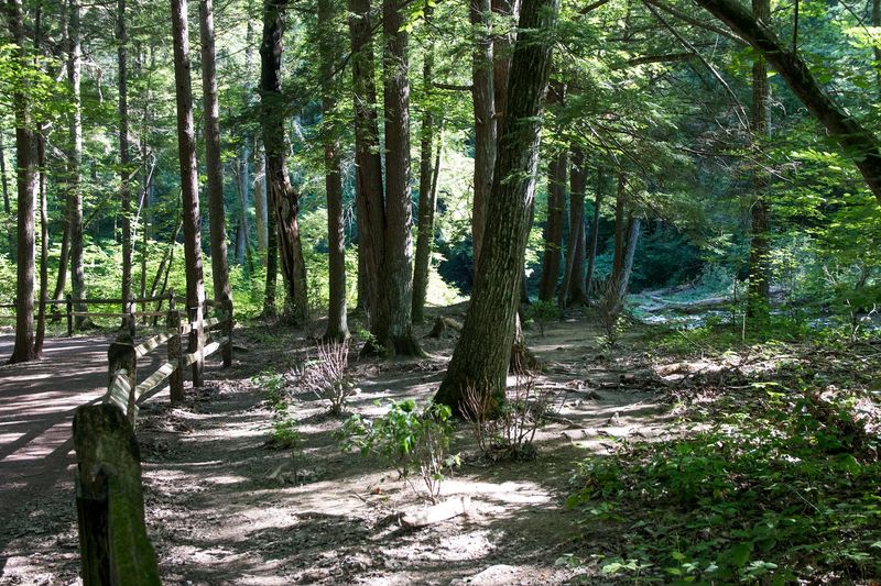 Jacobsburg State Park