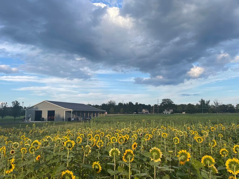 Jersey Acres Farm Jersey Acres Farm