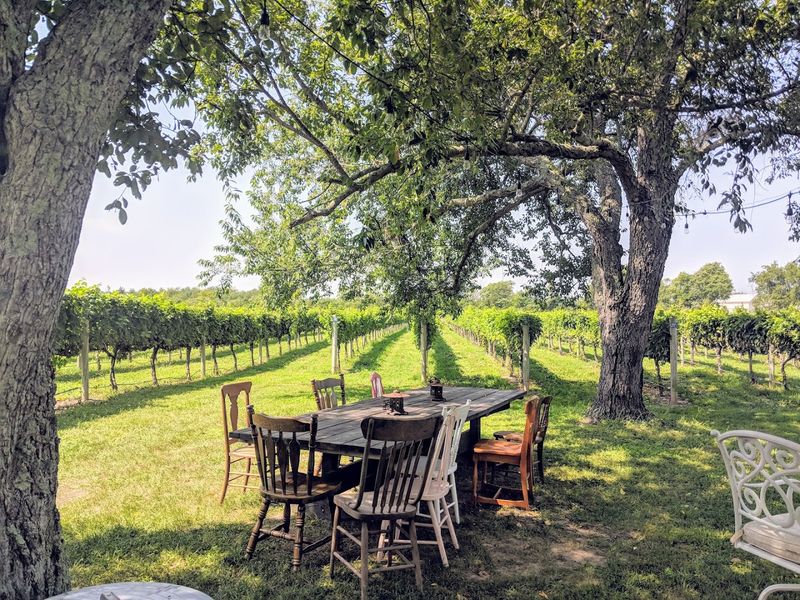 Jessie Creek Winery