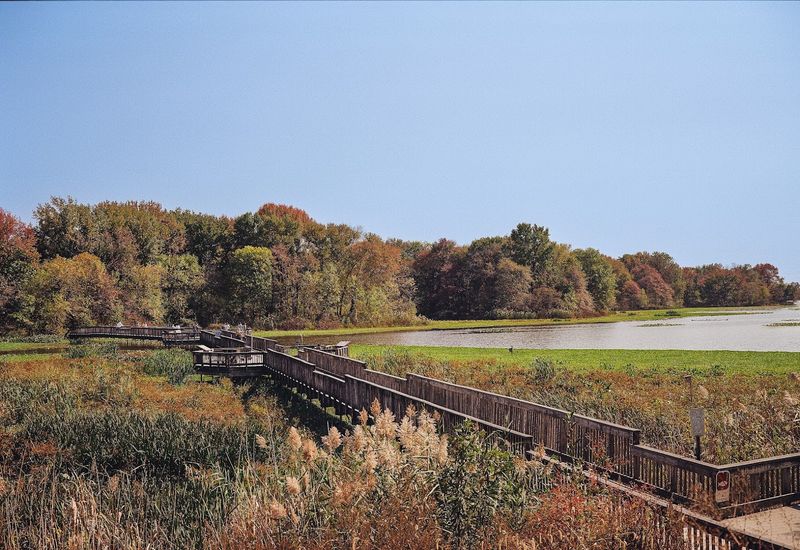 John Heinz National Wildlife Refuge at Tinicum (Philadelphia County)