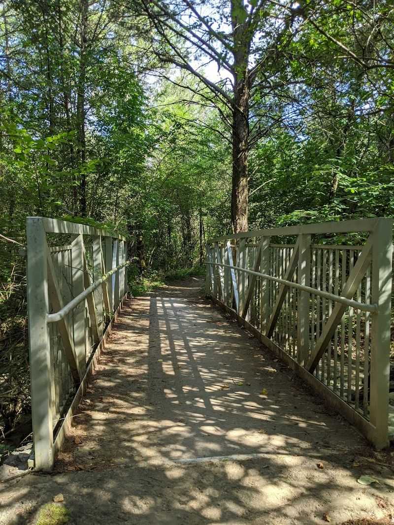 Jones Mill Mountain Bike Trail — Mt. Juliet