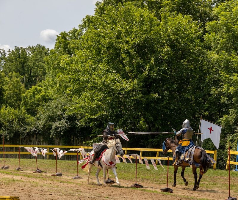 Jousting, battles, and nonstop live entertainment Jousting, battles, and nonstop live entertainment