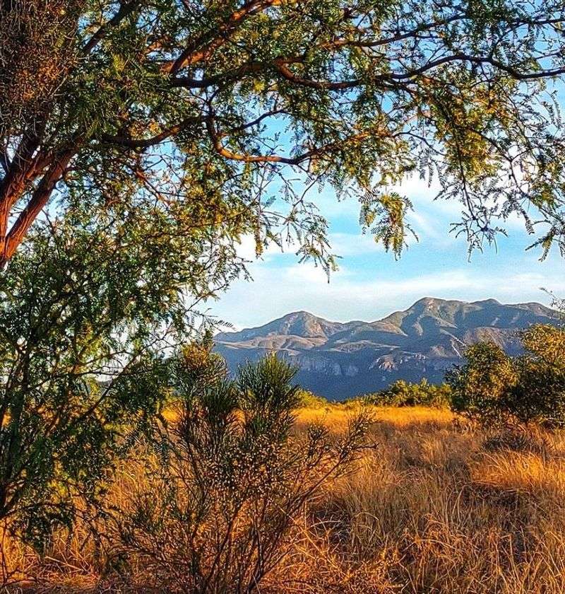 Why Sierra Vista Stays With People Long After They Leave Why Sierra Vista Stays With People Long After They Leave