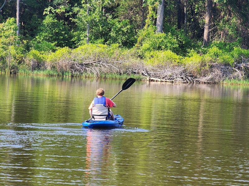 Kayaking and Paddleboarding Paradise Kayaking and Paddleboarding Paradise