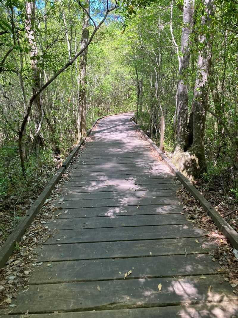 Kirby Nature Trail (Big Thicket National Preserve) Kirby Nature Trail (Big Thicket National Preserve)