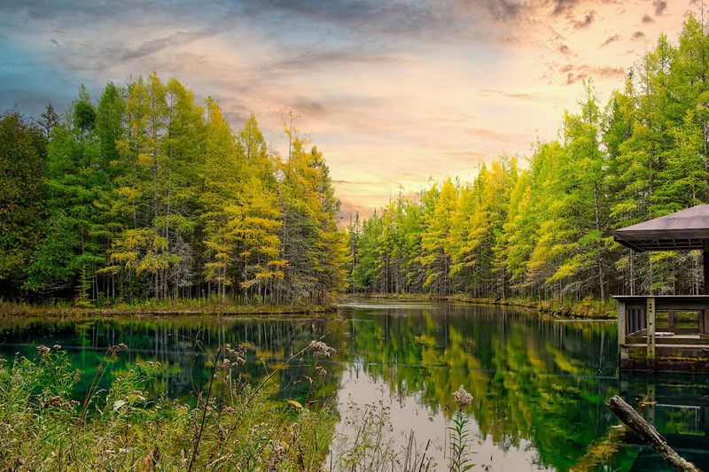 Kitch-iti-kipi (The Big Spring) Kitch-iti-kipi (The Big Spring)