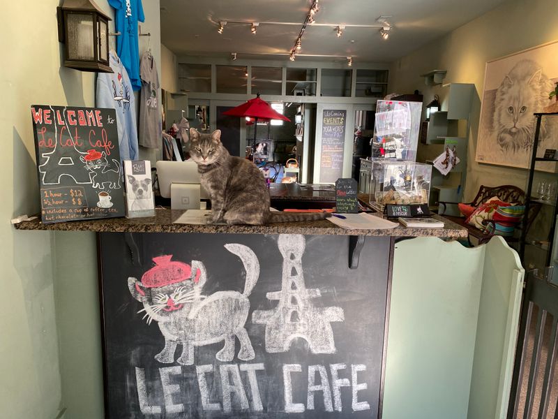 Know the cafe side is simple and the cat side is the star