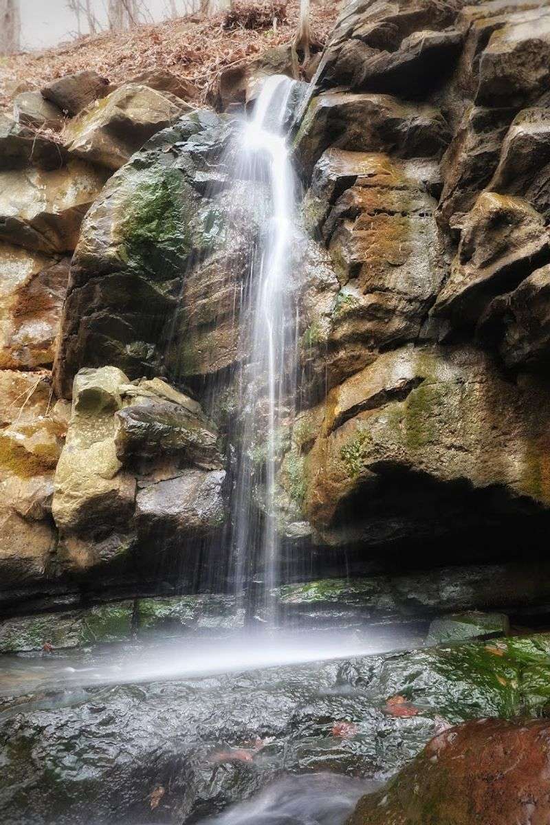 Kugler Falls
