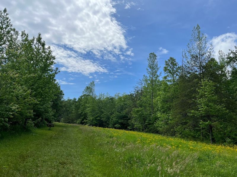 The Finish: A Park With Real Trail Cred