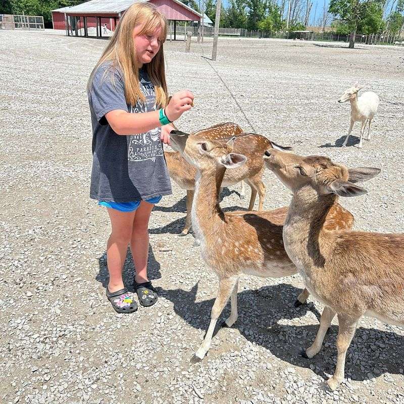 Lagoon Deer Park (Sandusky)