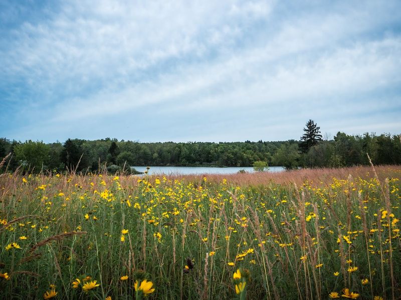 Lake La Su An Wildlife Area, Pioneer, Ohio Lake La Su An Wildlife Area, Pioneer, Ohio