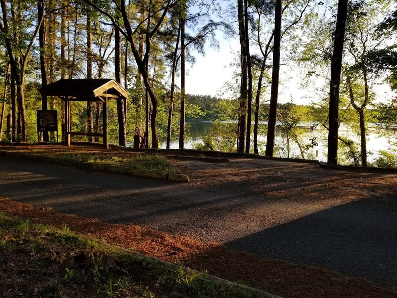 Lakeshore Trail (Tyler State Park) Lakeshore Trail (Tyler State Park)