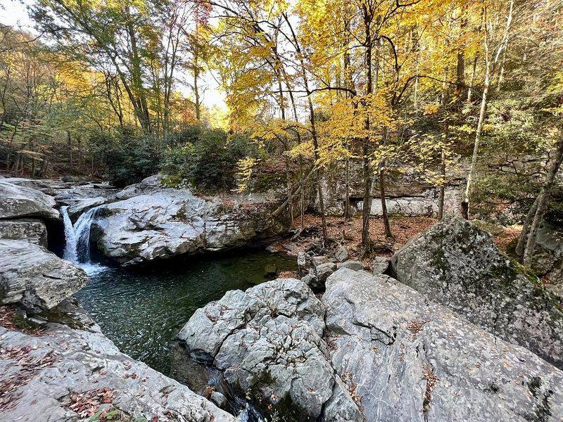 Laurel Falls
