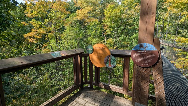 Learning Among Leaves And Wildlife