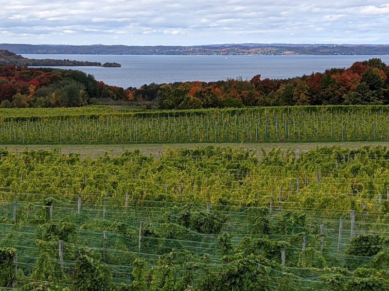 Leelanau Peninsula Wineries: Vineyard Country Right Off the Route Leelanau Peninsula Wineries: Vineyard Country Right Off the Route