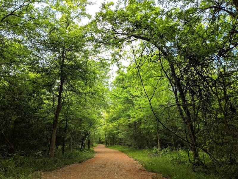 Lick Creek Road (College Station)