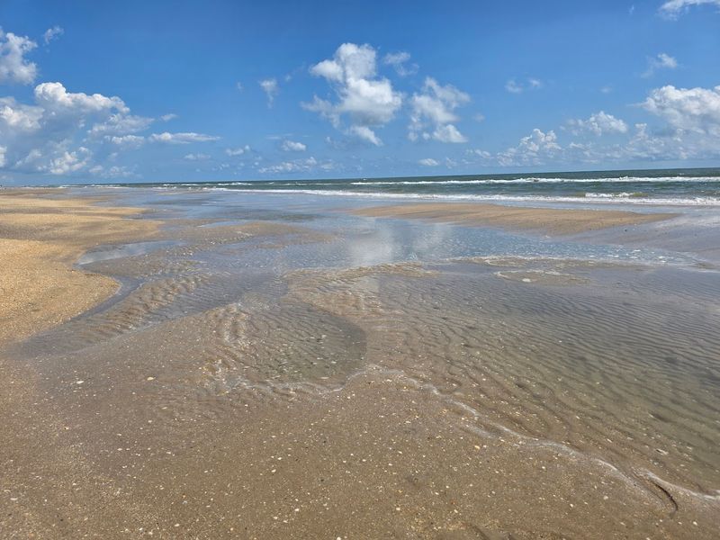Little Shell Beach (Padre Island National Seashore)