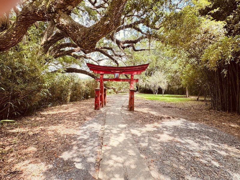 Live Oaks, Spanish Moss, and Storybook Southern Atmosphere